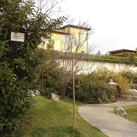 Rosaspina Ascoli Piceno