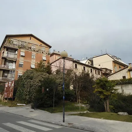 Rosaspina
