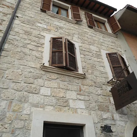 Rosaspina