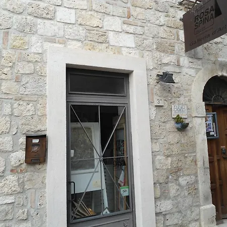 Rosaspina * Ascoli Piceno