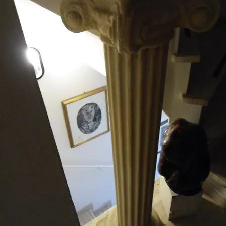 Rosaspina * Ascoli Piceno